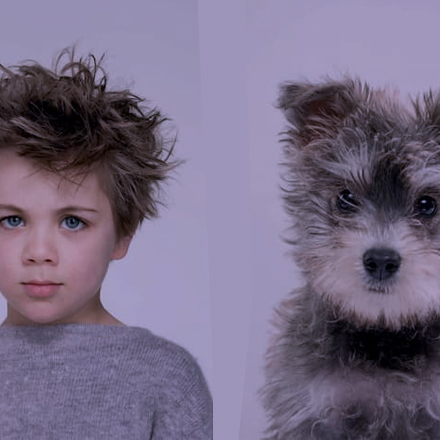 Mascotas y seres humanos