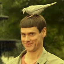 Los chistes de tontos