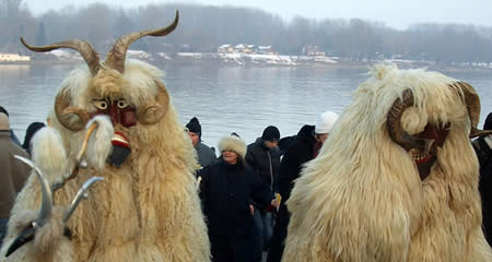 Fiesta de los busós