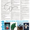 Suplemento "Dedeté" (09/06/24) | Cuba