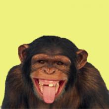 Ay, humor, ay, humor | Simios y romanos bromistas