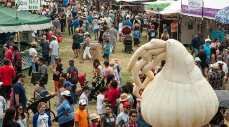 Festival del ajo