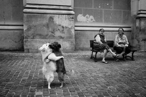 1Women Stret Photographers ©Cristina Garlesteanu.jpg