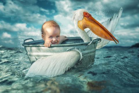 Foto 3 de John Wilhem.jpg