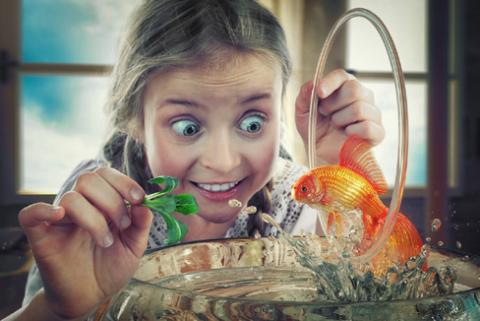 Foto 5 de John Wilhem.jpg